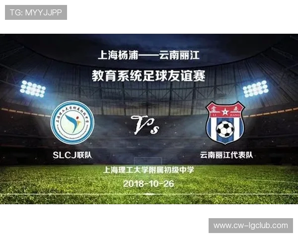 围绕云南足球省队数量全面解析区域竞技体系建设现状研究进程分析